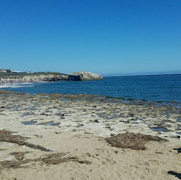 Meet your Posher, Trinity - Picture 1 of 1